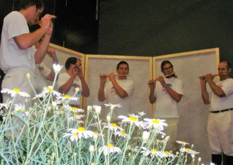 Eidgenössisches Tambouren- und Pfeiferfest in Interlaken 2010, Foto 1